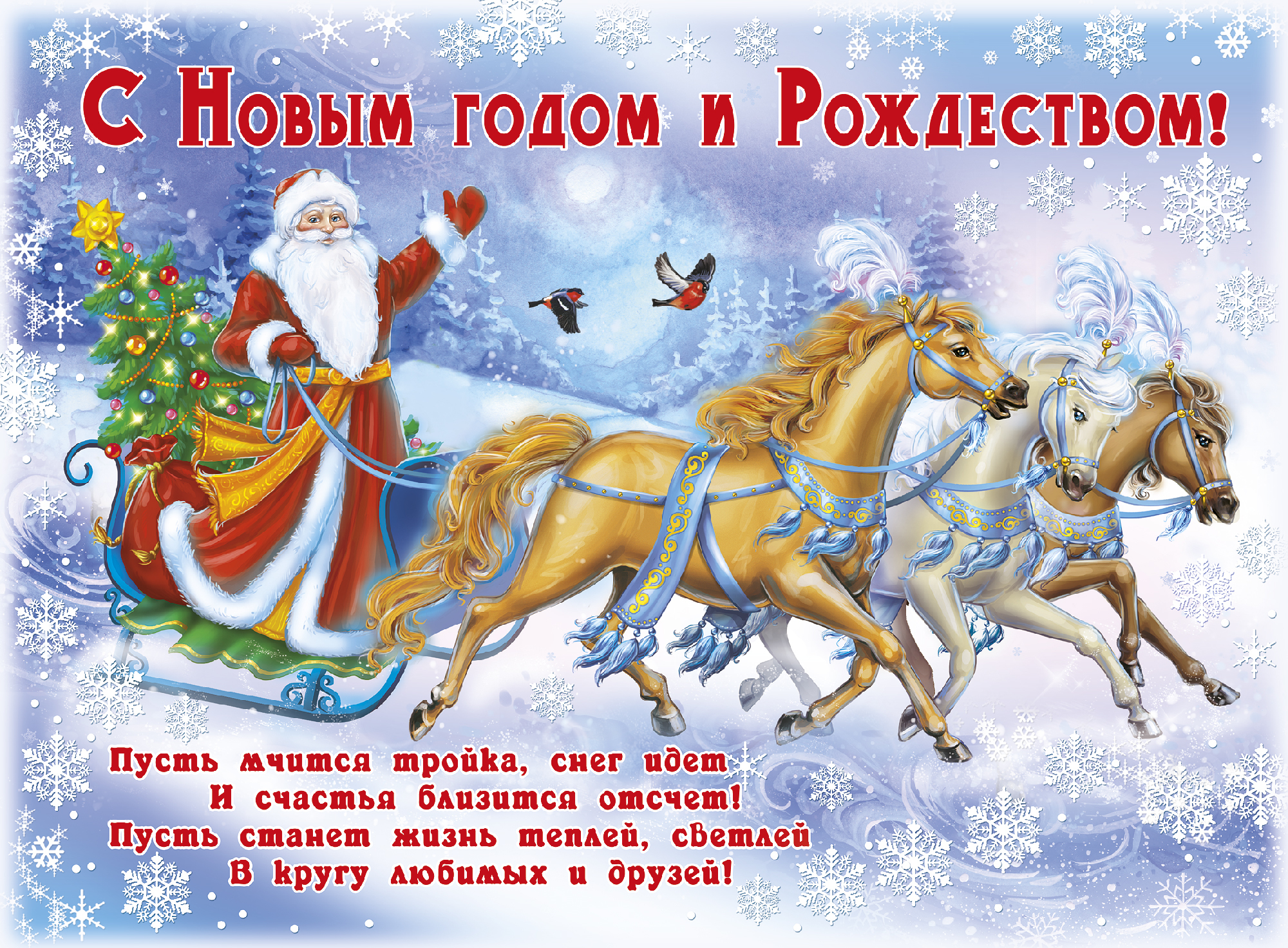 Новогоднее Поздравление Женщин России